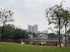 -荔湾湖公园