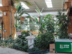 -南宫五洲植物乐园