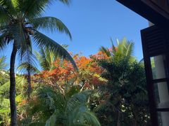 -亚龙湾喜来登·美景台大堂吧