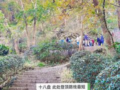 -南京市江宁方山