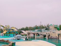 -秦皇岛乐岛海洋王国