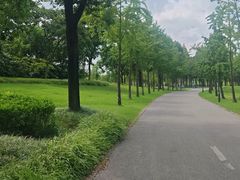 -贡湖湾湿地公园