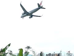 -空港花田景区