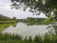-苏州太湖国家湿地公园