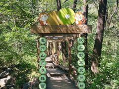 -大岭沟猕猴桃谷风景区