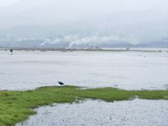 -腾冲北海湿地