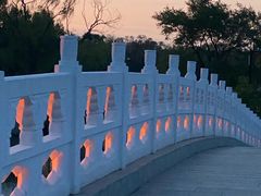 -北陵公园