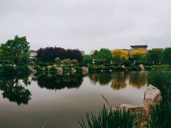-丁家河公园