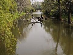 -碧水湾温泉