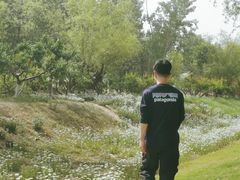 -汉长安城未央宫国家考古遗址公园