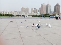 -大连人民广场