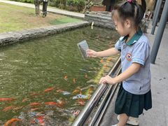 -南宁荔园维景国际大酒店·荔园中餐厅