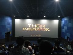 -华联影城(蒙城路店)