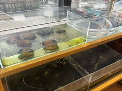 -十八字金银饰·拼豆·开蚌手工体验团建(君太百货店)
