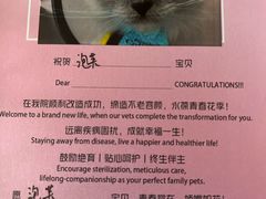 -艾贝尔宠物医院·24H转诊中心·肿瘤猫专科(江宁双龙店)