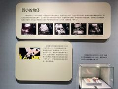 -重庆自然博物馆(新馆)