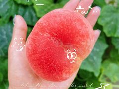 -老袁家蜜桃农场·阳山水蜜桃