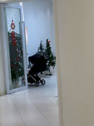 -Two  Monkeys 孕婴写真馆(龙华店)