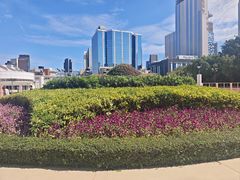 -九龙公园