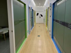 -金色雨林·专注力情商思维感统(海岸城八方汇中心)