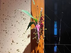 -希望日本料理(保利香槟花园店)