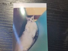 -谜盒子奇幻密室(南屏店)