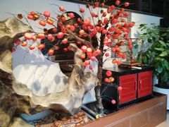 -福照楼汽锅鸡·云南菜(护国路店)