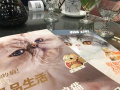 -袖虎·猫馆(体育西路店)
