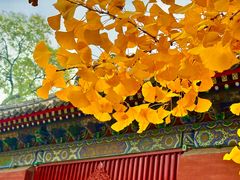 -承恩寺