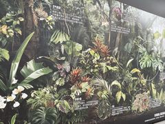 -上海鲜花港