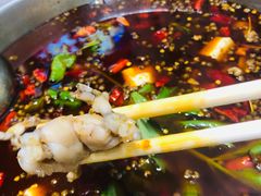 -蛙蛙鸡冷锅鱼(温江店)