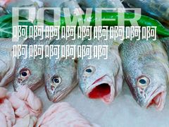 -聚鲜港（五洞）牛肉自选火锅