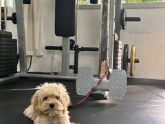 -瑞派康怡24h宠物医院·犬猫医疗中心·微创绝育(瑞景分院)