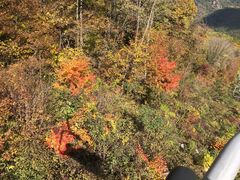 -丹东天桥沟景区