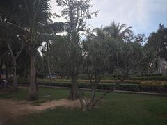 -三亚海棠湾万丽度假酒店