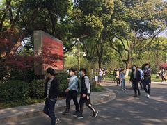 -昆山城市生态森林公园