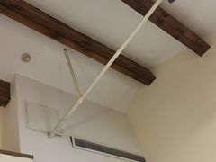 大堂-两棵枇杷树