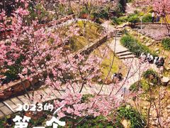 -狐尾山公园