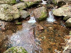 -五女峰国家森林公园