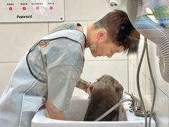 -帕帕拉兹宠物(亚洲旗舰店)