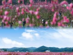-常德桃花源景区