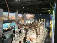 -国家自然博物馆