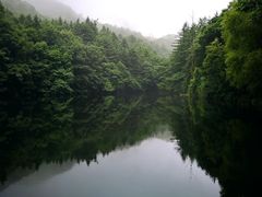 -洛阳白云山景区