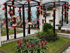 -上海鲜花港