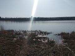 -绿堤公园
