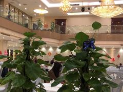 -东江渔村(皇悦店)