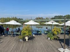 -白鹭湾湿地公园