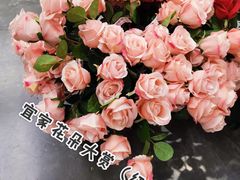 -宜家家居(哈尔滨商场店)