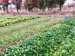 -苏州吴中太湖旅游区