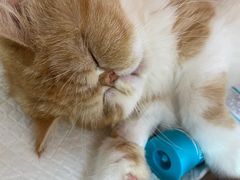 -狗舍宠物医院(四季商业广场店)